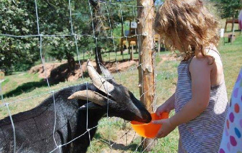 Location de vacances - Chalet à Saint-Cyprien-sur-Dourdou