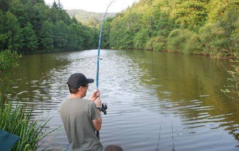 Location de vacances - Chalet à Saint-Cyprien-sur-Dourdou