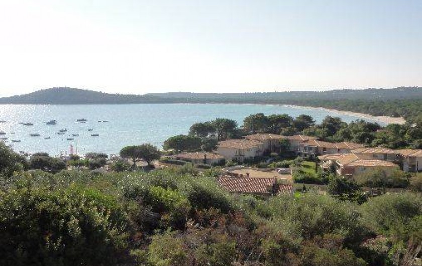 Location de vacances - Appartement à Pinarello