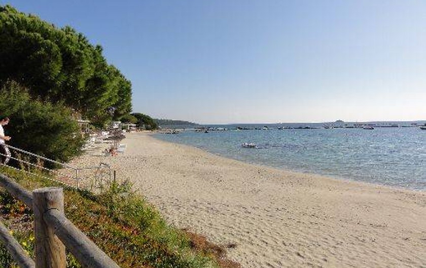 Location de vacances - Appartement à Pinarello