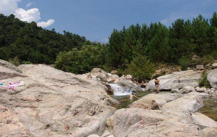 Location de vacances - Appartement à Pinarello