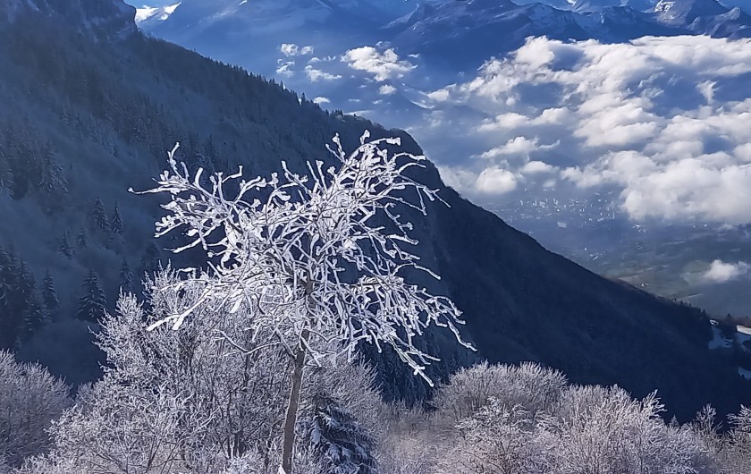 Location de vacances - Chalet à La Féclaz