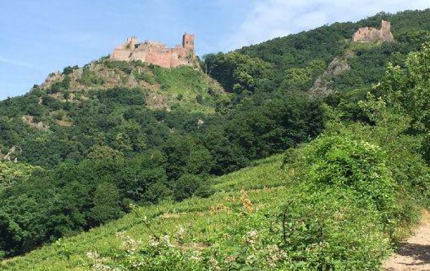 Location de vacances - Gîte à Ribeauville