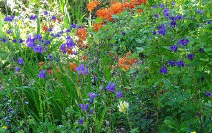 Location de vacances - Chalet à Les Eyzies-de-Tayac-Sireuil
