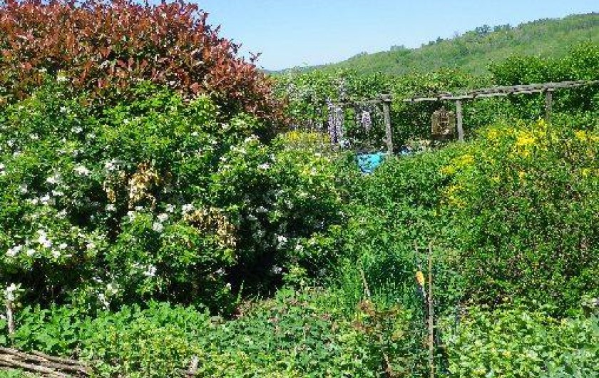 Location de vacances - Chalet à Les Eyzies-de-Tayac-Sireuil