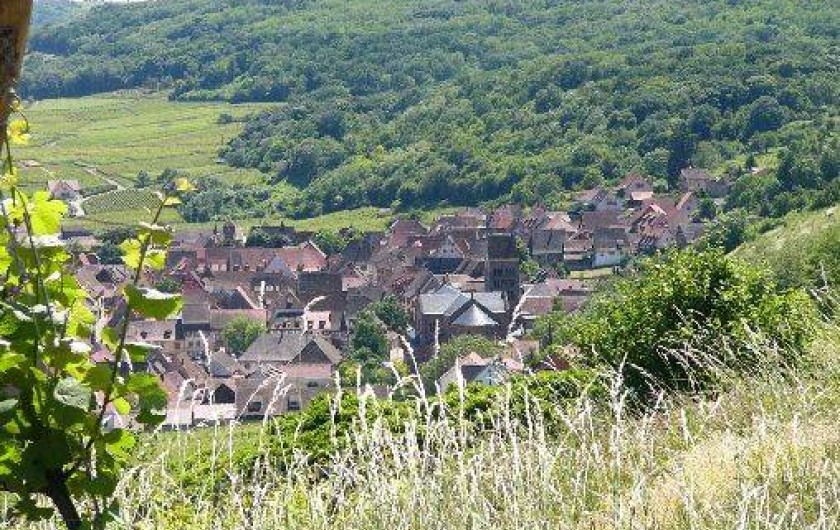 Location de vacances - Gîte à Gueberschwihr - Gueberschwihr, village typique d'Alsace au calme sur la route des vins