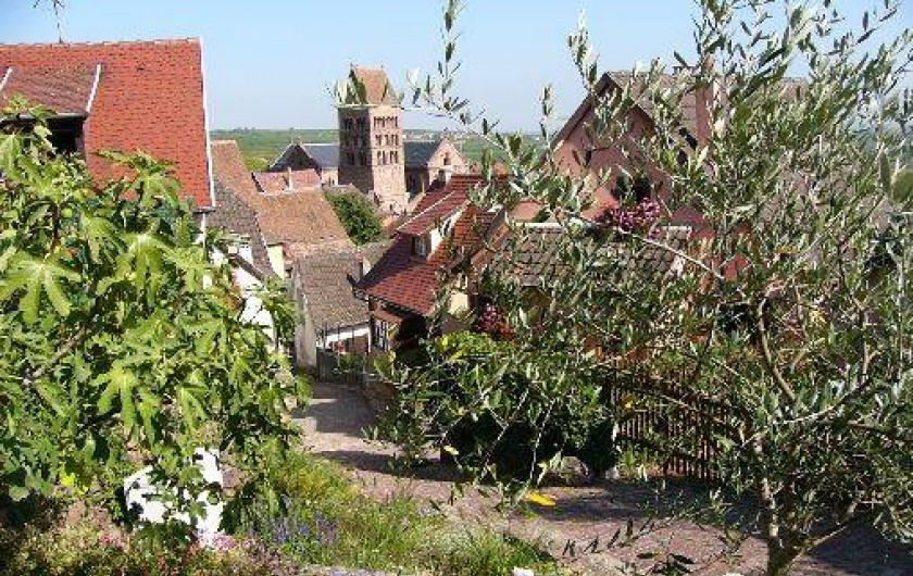 Location de vacances - Gîte à Gueberschwihr - Gueberschwihr, village médiéval en Alsace