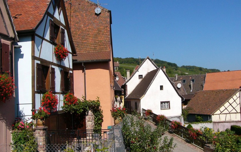 Location de vacances - Gîte à Gueberschwihr - Gîte près de Colmar sur la route des vins d'Alsace au calme à Gueberschwihr