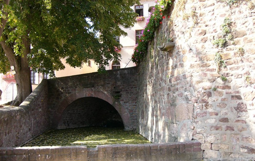 Location de vacances - Gîte à Gueberschwihr - Gueberschwihr,  son lavoir à chevaux
