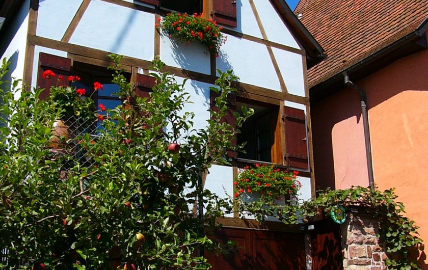 Location de vacances - Gîte à Gueberschwihr - Gîte en Alsace près de Colmar et Eguisheim  "Gîte de la Source"