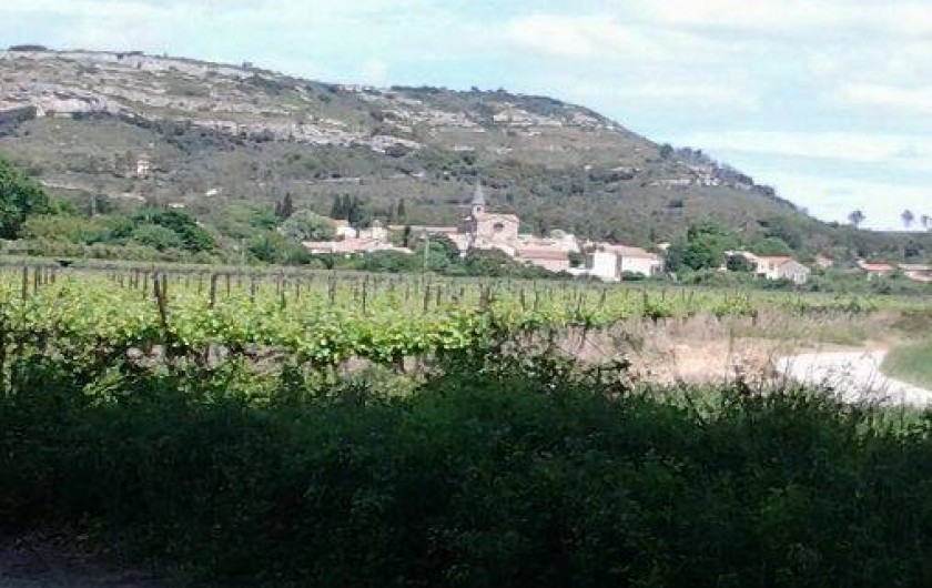 Location de vacances - Villa à Saint-Bauzille-de-Montmel