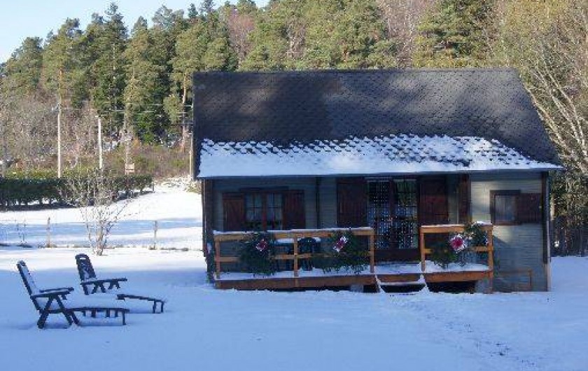Location de vacances - Chalet à Murol