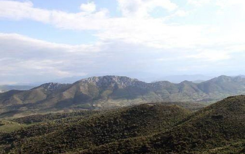 Location de vacances - Gîte à Rasiguères