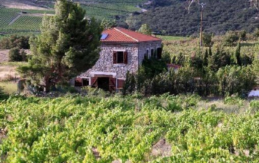 Location de vacances - Gîte à Rasiguères