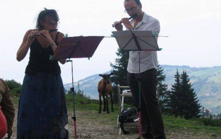 Location de vacances - Appartement à Bernex