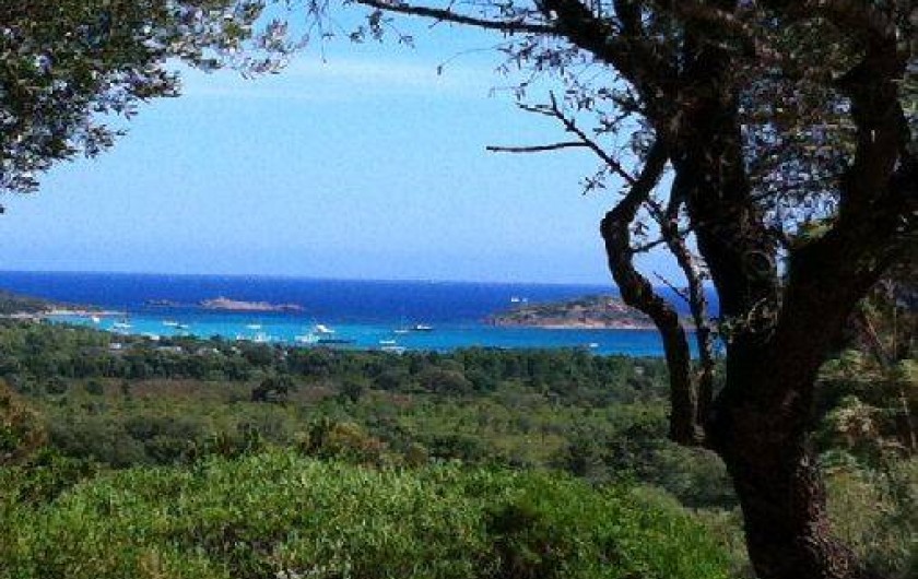 Location de vacances - Villa à Porto-Vecchio