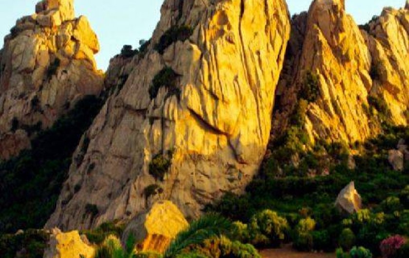 Location de vacances - Chalet à Bonifacio