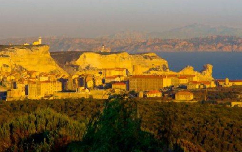 Location de vacances - Chalet à Bonifacio