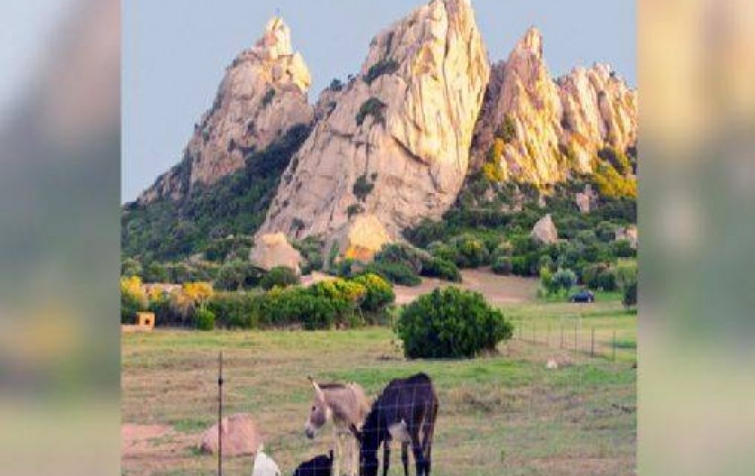 Location de vacances - Chalet à Bonifacio