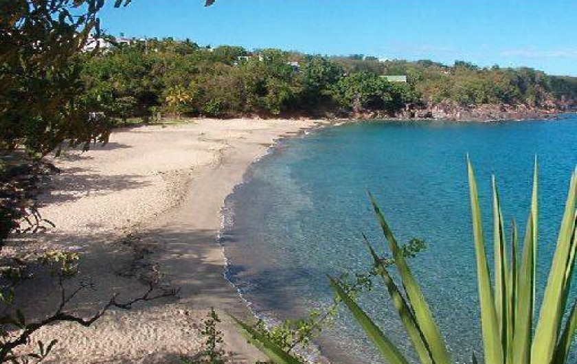 Location de vacances - Studio à Deshaies