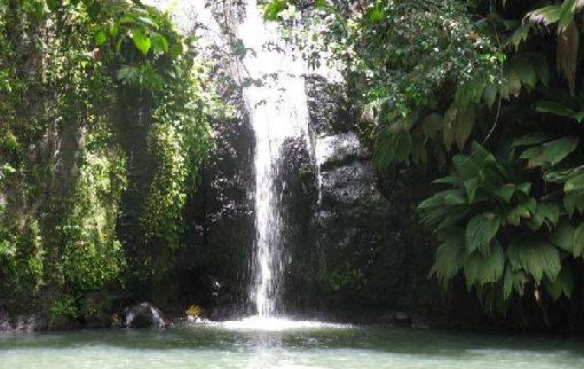 Location de vacances - Studio à Deshaies