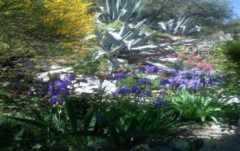 Location de vacances - Maison - Villa à La Cadière-d'Azur