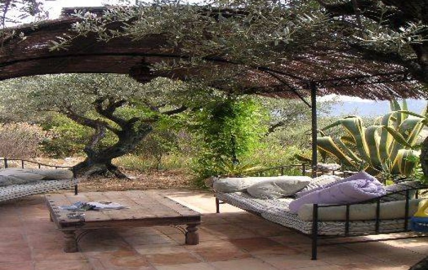 Location de vacances - Maison - Villa à La Cadière-d'Azur