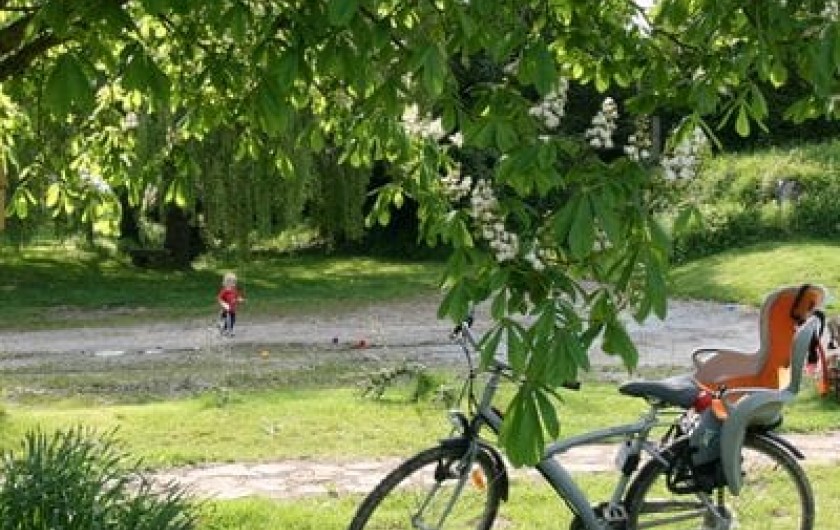 Location de vacances - Gîte à Saint-M'Hervé - jardin et prêt de vélo