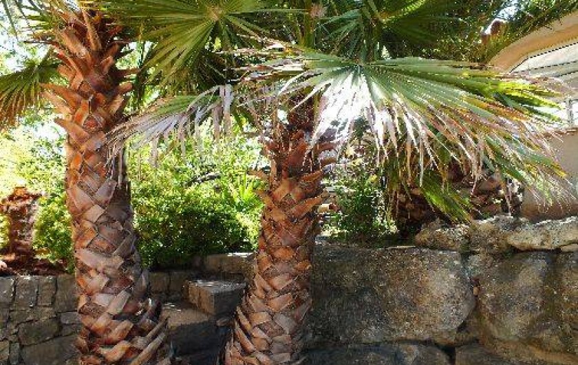 Location de vacances - Appartement à Cotignac