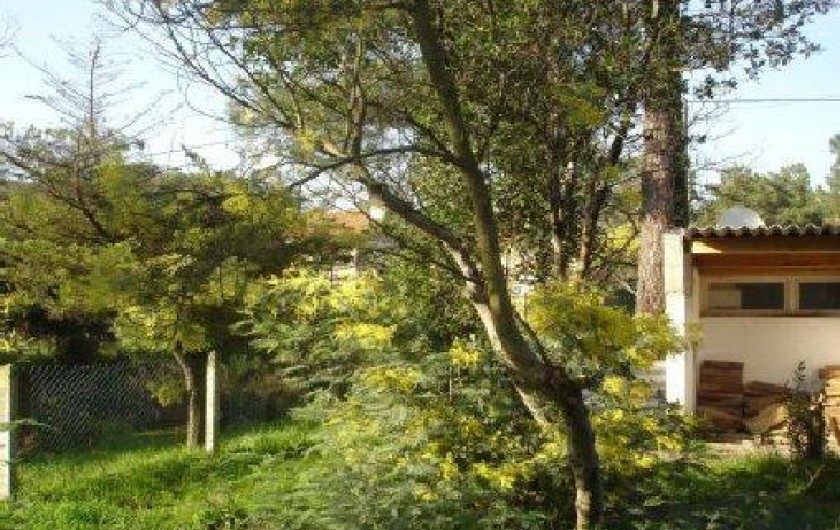 Location de vacances - Villa à Lacanau