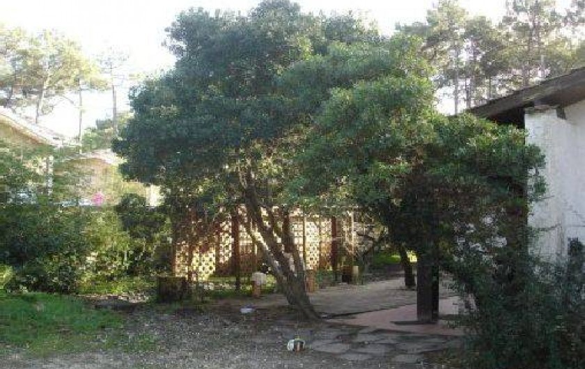 Location de vacances - Villa à Lacanau