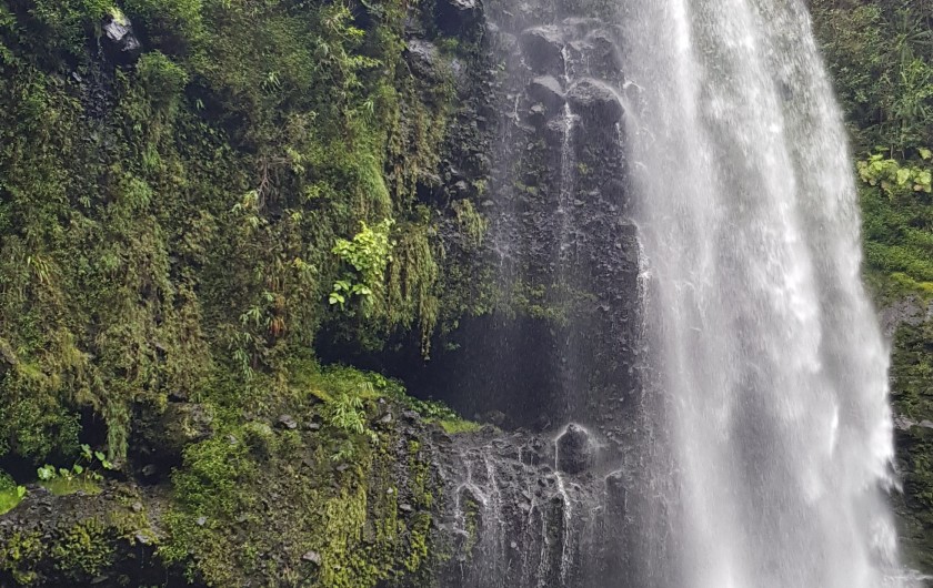 Location de vacances - Maison - Villa à Bois De Nèfles