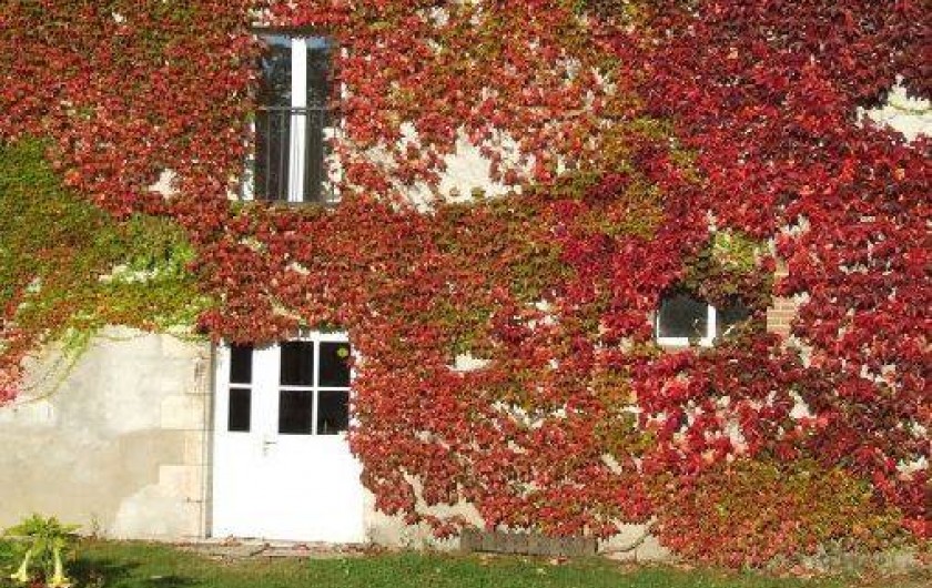 Location de vacances - Gîte à Ouzouer-sur-Trézée