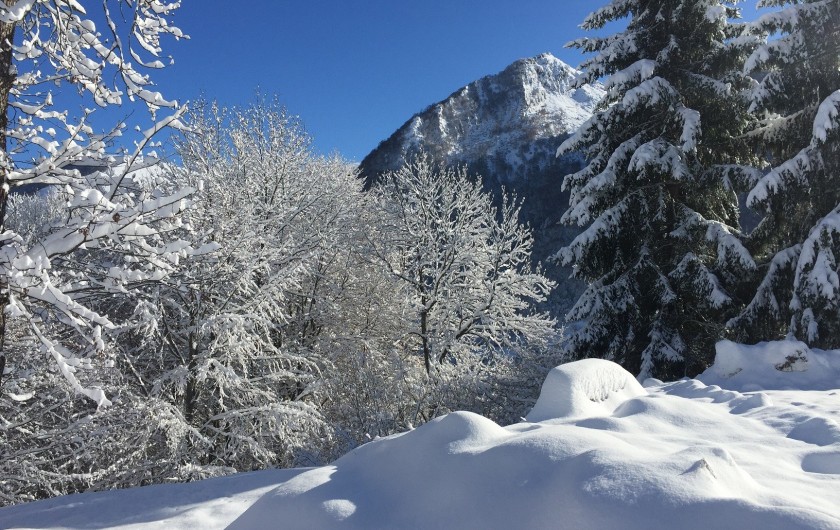 Location de vacances - Chalet à Estaing - RÊVE DE GOSSE jardin d'hiver