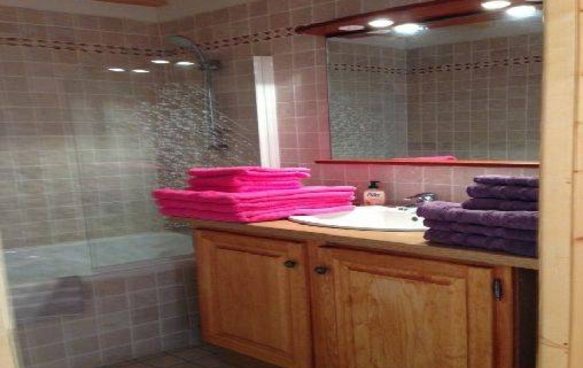 Location de vacances - Chalet à Isola