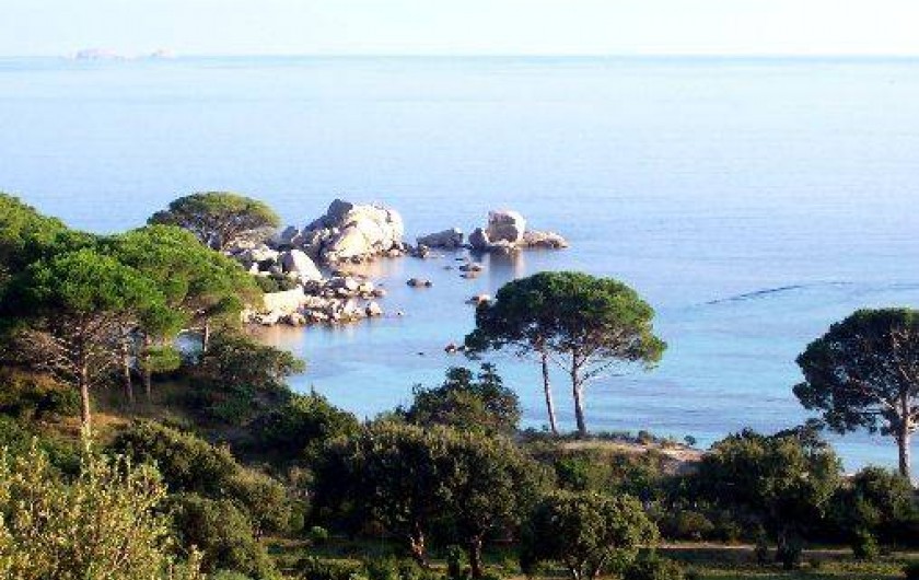 Location de vacances - Villa à Porto-Vecchio