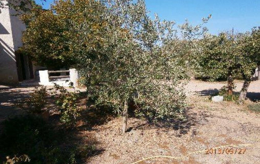 Location de vacances - Villa à Porto-Vecchio