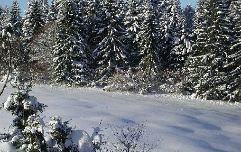 Location de vacances - Studio à Gérardmer