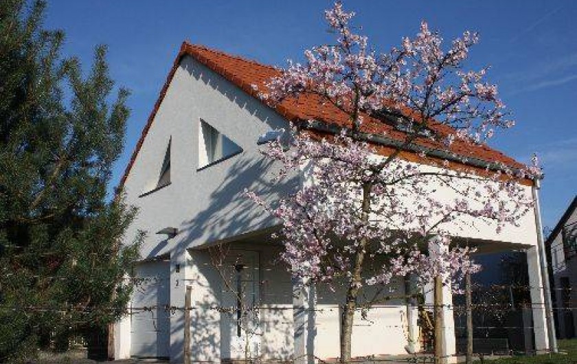 Location de vacances - Gîte à Orschwihr
