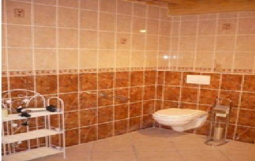 Location de vacances - Gîte à Saint-Just-en-Bas