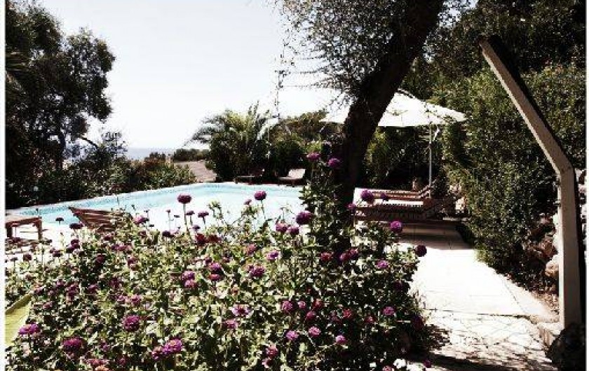 Location de vacances - Villa à Olmeto