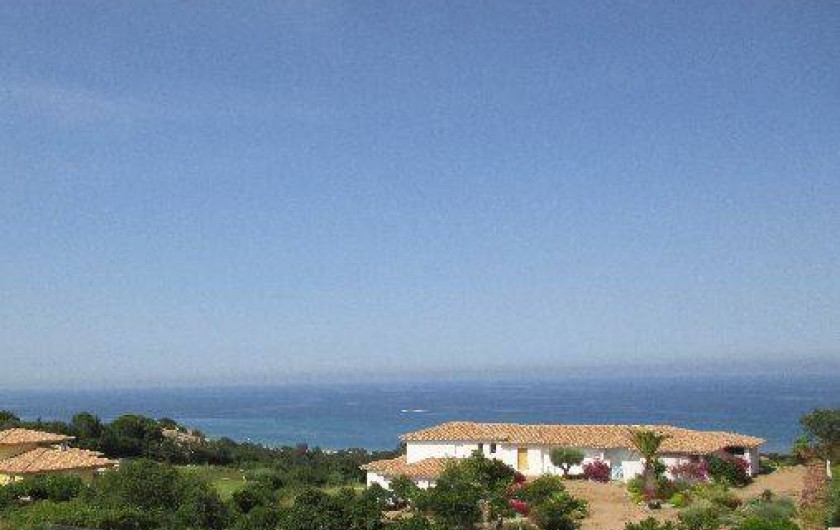 Location de vacances - Gîte à Sari-Solenzara