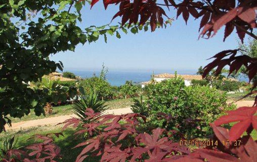 Location de vacances - Gîte à Sari-Solenzara