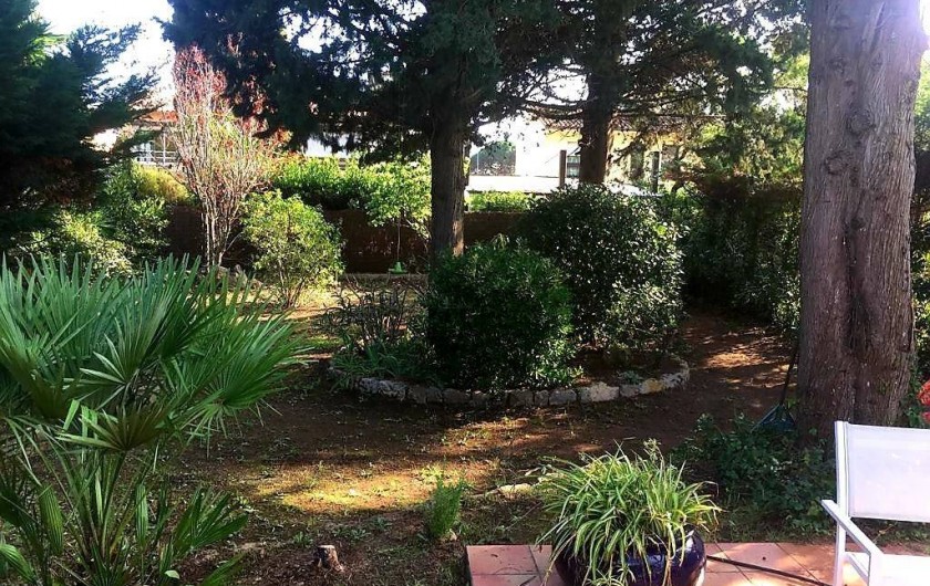 Location de vacances - Villa à Sainte-Maxime - le jardin
