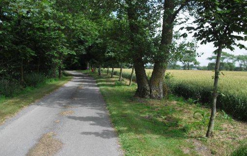 Location de vacances - Gîte à Hames-Boucres