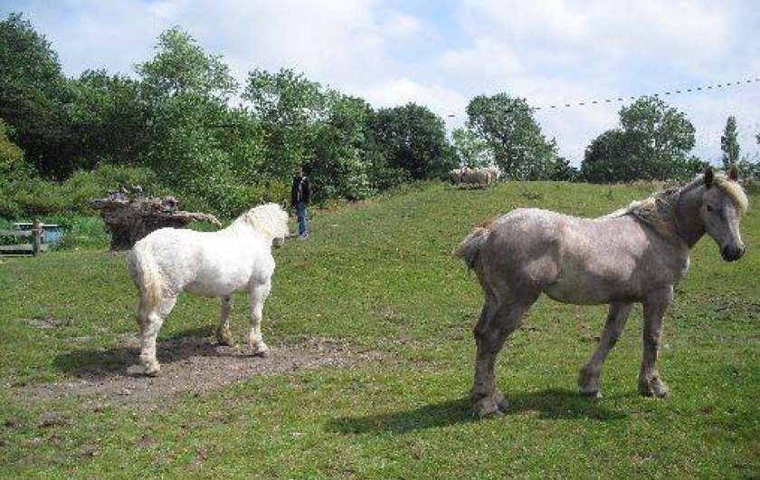Location de vacances - Gîte à Hames-Boucres