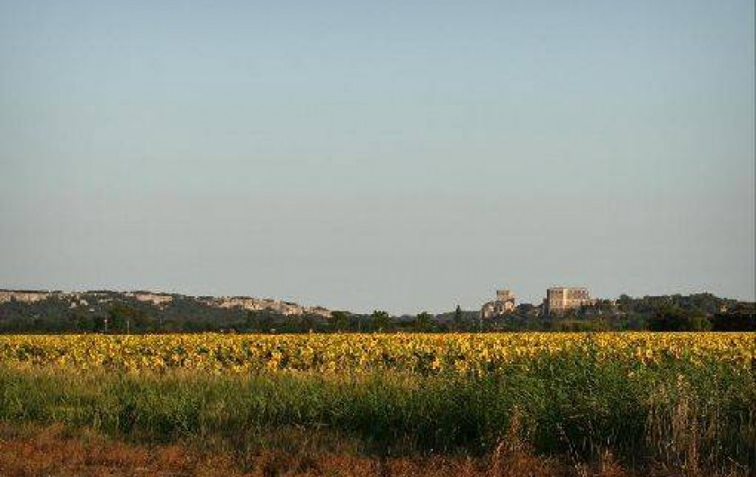 Location de vacances - Maison - Villa à Arles
