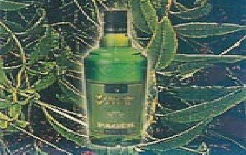 Location de vacances - Gîte à Landos - VERVERNE  DU PUY