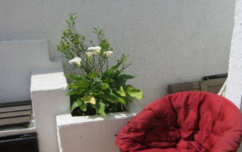 Location de vacances - Villa à Canet-en-Roussillon