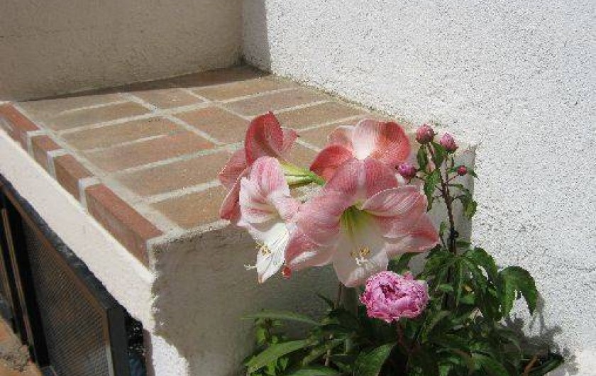 Location de vacances - Villa à Canet-en-Roussillon